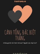 Cảnh Tổng Đặc Biệt Thẳng