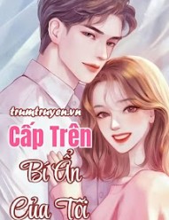 Cấp Trên Bí Ẩn Của Tôi