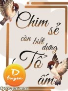 Chim Sẻ Còn Biết Dựng Tổ Ấm