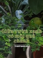 Giữa Vườn Xanh Có Một Quả Chanh