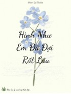 Hình Như Em Đã Đợi Rất Lâu