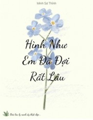 Hình Như Em Đã Đợi Rất Lâu