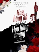 Hoa Hồng Đỏ Và Hoa Hồng Trắng Ở Bên Nhau