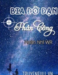 Bia Đỡ Đạn Phản Công