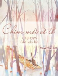 Chim Mỏi Về Tổ