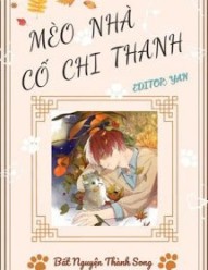 Mèo Nhà Cố Chi Thanh