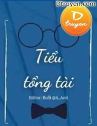 Tiểu Tổng Tài