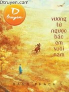 Vương Tử Ngược Bắc Em Xuôi Nam